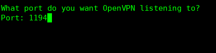 openvpn default port